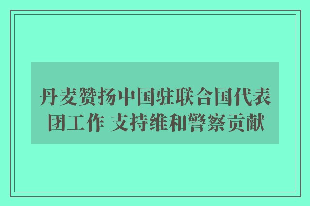 丹麦赞扬中国驻联合国代表团工作 支持维和警察贡献