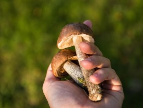 胃不舒服时，面食的疗愈力量