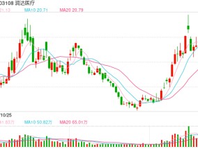 华为出手，AI医疗概念股大涨，润达医疗等被追捧