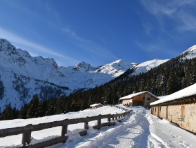 湖北多地迎来中到大雪，雪舞银装，冬日画卷