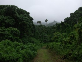 桂林市旅行社旅游的十大必去景点